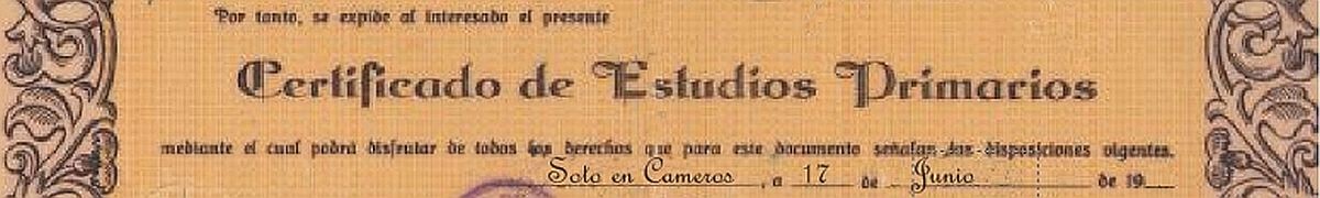 Detalle de un Certificado de Estudios Primarios