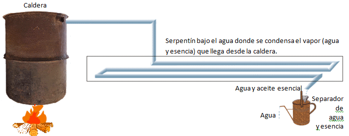 Sistema completo de la caldera de espliego